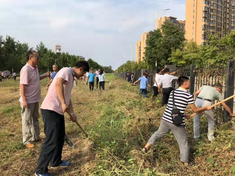 老师们在清除围栏上的葎草