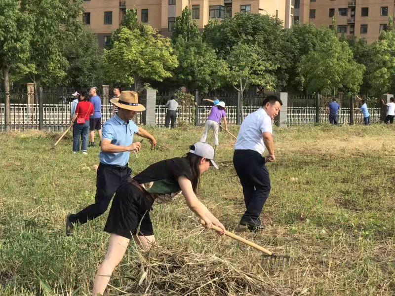 老师们在清除枯草